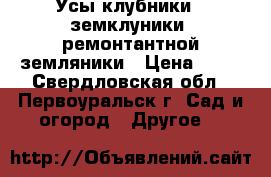 Усы клубники , земклуники, ремонтантной земляники › Цена ­ 10 - Свердловская обл., Первоуральск г. Сад и огород » Другое   